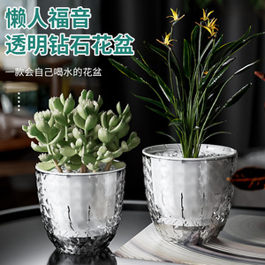 Jardinière hydroponique de haute qualité automatique absorbant l'eau Pot de fleur de personne paresseuse pour jardin de bureau à domicile pour <span class=keywords><strong>le</strong></span> marché international - Product Image 5