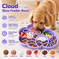 Ensemble de gamelles en silicone motif nuage mignon avec plat à nourriture amovible et tapis d'alimentation facile à nettoyer pour petits chiens et chats