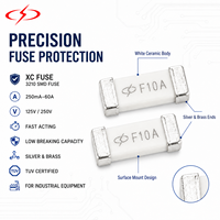Fusible XC 3210 10x3.2mm 250mA-60A AC/DC 125V/250V à action rapide basse tension certifié TUV en argent et laiton pour équipement industriel