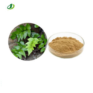 Şampiyonu ahşap eğreltiotu özü Rhizoma Cyrtomii özü tozu Fortunes patron Fern rizom ekstresi - Product Image 1