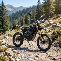 Approvisionnement direct usine Nouveau modèle 2026 Surron Ultra Bee Moto électrique tout-terrain 24,5 kW 24500 W Supermoto Cross Racing