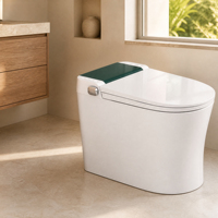 WC intelligent monobloc en céramique blanche avec bidet, chasse d'eau automatique, siège chauffant, télécommande, à poser au sol