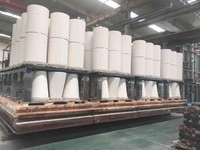 Isolateur de tension en porcelaine électrique pour précipitateur électrostatique, fabriqué en Chine