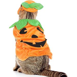 Halloween <b>Cat</b> Pumpkin Costume Orange Fleece Adjustable Pet Outfit With <b>Hat</b> Cute Dress For <b>Cats</b> - Product Image 1