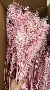 Nueva Llegada de Hojas Preservadas de Color Naranja, Flores Secas de Larga Duración, Planta Decorativa para Decoración de Bodas y San Valentín - Product Image 6