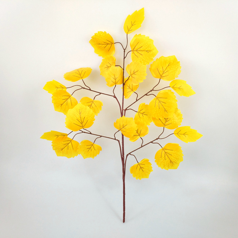 Ramo di Populus euphratica giallo serigrafato