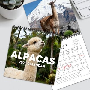 Calendrier mural spirale 12 mois sur le thème de <span class=keywords><strong>l</strong></span>'alpaga 2026-2027 pour les amoureux des animaux, idéal pour offrir et décorer la maison ou le bureau (vente en gros) - Product Image 1