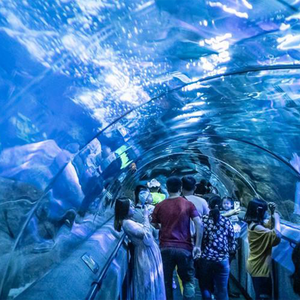 Tunnel acrylique en forme de U personnalisé, bassin pour aménagement d'eau, Restaurant, hôtel, sous-marin, en verre, Aquariums @ - Product Image 2