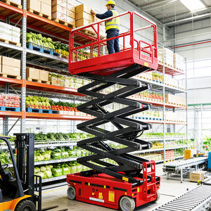 ZG-SP06 8m Kaldırma Platformu |   450 kg Ağır Yük Kendinden Tahrikli Hidrolik Kaldırma Platformu CE Sertifikalı - Product Image 2