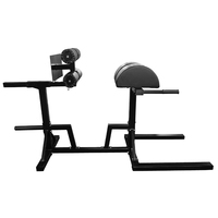 Machine de musculation pour les fessiers et les ischio-jambiers, extension des hanches, extension dorsale, abdominaux