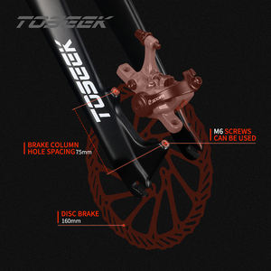 Fourche rigide <span class=keywords><strong>Toseek</strong></span> VTT frein à disque entièrement en carbone fourche avant légère haute résistance - Product Image 6