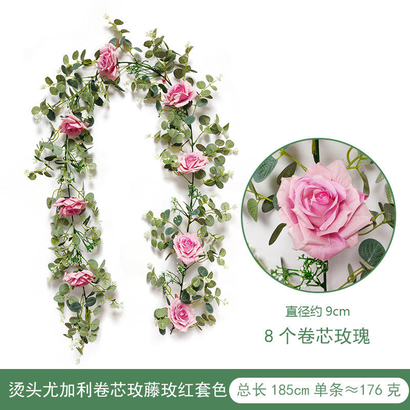 1.85 meters of Roten Tendril