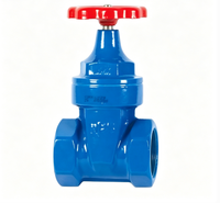 Vanne de régulation manuelle filetée à joint souple, type verrouillable avec entrée pour compteur en option, PN16, OEM disponible, 1/2"~4" pour l'alimentation en eau