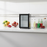 Mini réfrigérateur à boissons de 21 L, thermostat transparent, utilisation à domicile, bar, petit réfrigérateur