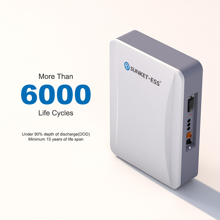 Renewable Energy System Cworth Panneaux Solaires 100Ah 200Ah Lithium Solar Panel Battery Lifepo4 for Home · image 5