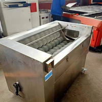 Commerciële borstelwas- en schilmachine, automatische roestvrijstalen groente- en fruitwasser/schiller voor aardappel, wortel, gember