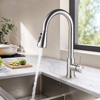 Robinet de cuisine flexible à douchette extractible - Style moderne en acier inoxydable, monocommande, finition nickel brossé, à poser sur comptoir, pour usage hôtelier