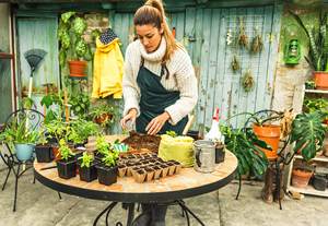 Kit de démarrage <span class=keywords><strong>pour</strong></span> <span class=keywords><strong>le</strong></span> jardinage d'herbes vivantes d'intérieur et les semis de plantes Kit de repiquage de bricolage <span class=keywords><strong>pour</strong></span> débutants et enfants - Product Image 5