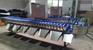 Machine de tri du poids des écrevisses/ Machine de classement des écrevisses/ Machine de pesage des crabes - Product Image 5