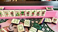 Jeu de Mahjong Américain Tropical en Gros Prêt à Expédier, 160 Tuiles Brillantes avec Supports Roses, Carte des Règles et Sac Cadeau Inclus
