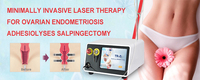 Gynécologue Utilisation Vaginal Serrage Laser 1470nm 980nm Laser Rejuvenecimiento Vaginal 1470 Vaginal Serrage Machine Laser