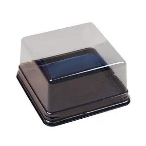 Disposable Food Packing Tray With Lid Square PET Plastic Transparent Blister Cake Boxes