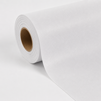 Tissu Air Dancer blanc hydrofuge standard 1000D 20x20 en PVC tricoté chaîne pour promotions régulières