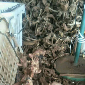 고품질 물고기 탱크 장식 천연 나무 자연 수족관 드리프트 나무 - Product Image 2