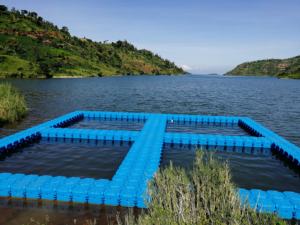 Gabbia Quadrata per Acquacoltura 8mx8m Trappola per Pesci in Vendita - Product Image 2