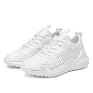 Chaussures décontractées pour hommes de haute qualité, respirantes, en tissu mesh, semelle antidérapante, confortables pour la marche, grandes tailles - Product Image 1