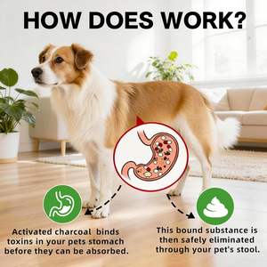 Charbon Actif d'Usine pour Chiens et Chats – Formule de Premiers Secours – Charbon d'Urgence pour Intoxication et Indigestion – Prêt à Absorber les Toxines - Product Image 3