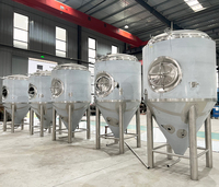 Équipement de brassage de bière 3000L ligne de production de bière artisanale