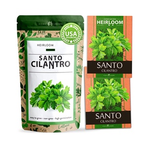 Herbe de coriandre Santo sans OGM cultivée à la maison vari<span class=keywords><strong>été</strong></span> à croissance rapide pour <span class=keywords><strong>jardin</strong></span> pépinière extérieure échantillon gratuit pour l'<span class=keywords><strong>été</strong></span> - Product Image 1