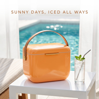 Boîte isotherme portable 6L, moderne, légère, durable, pour canettes, vin, aliments, activités de plein air