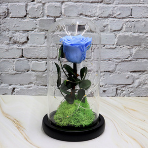 Rose unique préservée sous cloche en verre avec lumières LED - Alimentée par piles, base en <span class=keywords><strong>mousse</strong></span> - Décoration romantique pour la maison et cadeau - Product Image 1