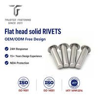 Rivets plats en acier TianFang pour travaux métalliques structurels, finition Dacromet, avec évaluation de dessin gratuite et prise en charge des dimensions personnalisées