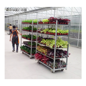 과일 농장 보육 수송 저장 아연 도금 와이어 메쉬 선반 금속 스틸 플랜트 랙 판매 - Product Image 1