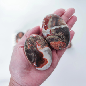 Pierre de palmier en agate argentée, Cristaux de richesse, Agate argentée naturelle, Cristal naturel, À choisir - Product Image 4