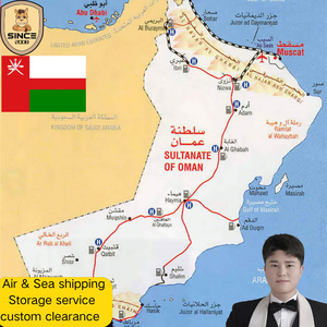 Chine vers Arabie Saoudite, Émirats arabes unis, Bahreïn, Koweït, Oman, Qatar : fret aérien et maritime DDP, service porte-à-porte tout-en-un - Product Image 1