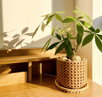 Pots et jardinières suspendus créatifs et modernes pour l'intérieur et l'extérieur, avec support de sol en ciment écologique pour une utilisation en jardin