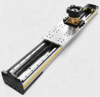 Module d'entraînement à crémaillère haute précision pour charges lourdes, longueur de course réglable, pour robot cartésien / CNC / portique / automatisation