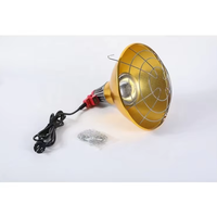 Lampe chauffante infrarouge 110V-240V de haute qualité à prix d'usine, 175W/250W, équipement d'élevage