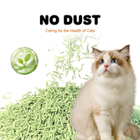 Litière pour chat en tofu naturelle 6L, biodégradable, agglomérante rapide, sans poussière, écologique, parfum pêche, contrôle de la fragrance 8H