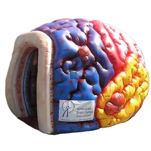 Giant inflatable brain for advertising,customized inflatable mind for party decoration