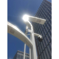 Poteau d'éclairage de rue multifonctionnel intégré à double bras carré, en acier durable, haute luminosité