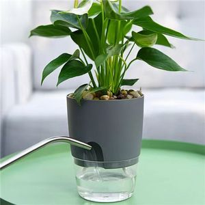 <span class=keywords><strong>Maceta</strong></span> Transparente de Plástico Creativa de Doble Capa con Almacenamiento de Agua, <span class=keywords><strong>Maceta</strong></span> Automática de Autoabsorción de Agua para Plantas Verdes - Product Image 3
