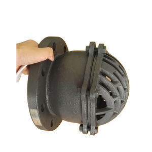 BS Gusseisen Fuß ventil mit Flansch | H42X-10/16 verdicktes Saug ventil | Hub pumpen korbs ieb DN50DN300 - Product Image 3