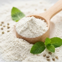 Poudre de protéines nutritionnelles pour adultes, à base de plantes, végétalienne, avec des vitamines et des minéraux pour la croissance musculaire