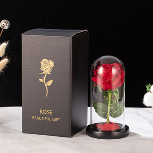 Sáng Tạo cầu vồng Đỏ hồng thủy tinh ánh sáng ban đêm với cơ sở gỗ lá xanh để trang trí phòng ngủ trong ngày của mẹ hoặc Ngày Valentine - Product Image 6