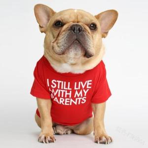 Camiseta Clásica LY <span class=keywords><strong>de</strong></span> Algodón Anti-Rasguños para <span class=keywords><strong>Perros</strong></span>, Ligera, para Verano, Lavable, para Bulldog Francés y <span class=keywords><strong>Shar</strong></span> <span class=keywords><strong>Pei</strong></span>, para <span class=keywords><strong>Perros</strong></span> Sensibles - Product Image 5